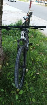 CTM Rascal 1.0 2023 - 4