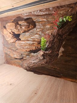Terárium 60x40x40 Gekončik nočný - 4