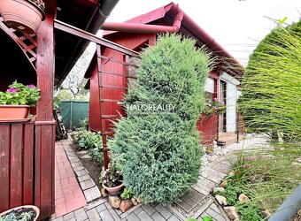 HALO reality - Predaj, záhradná chata Levice, s altánkom, ud - 4