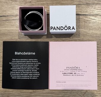 NÁUŠNICE PANDORA-KRUHY - 4