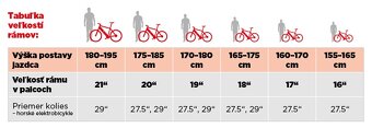 Ebike - 4