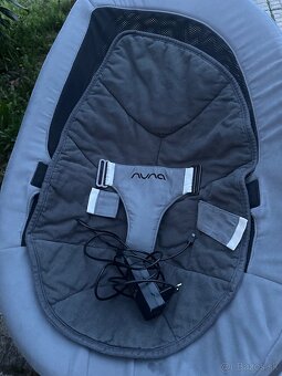 Nuna leaf - 4