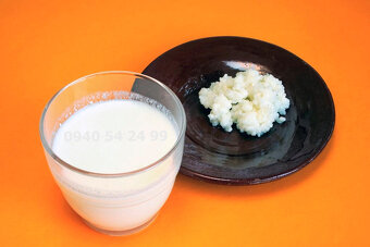 Kefír - Tibetská huba, zrná - 4