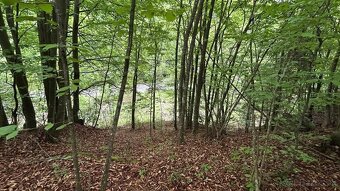 Pozemok Tajov – pokojné miesto pri potoku - 4
