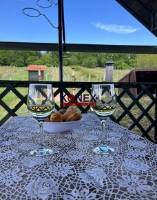 Vínny domček s krásnou vinicou – obec Viničky - 4