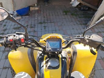 Predám bashan s TP - 4