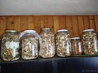 Sušené hríby - 4