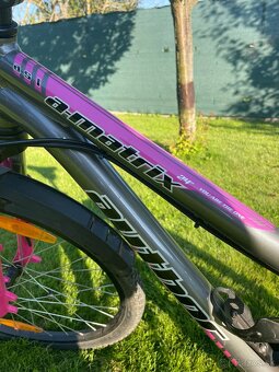 Detský bicykel AUTHOR - 4