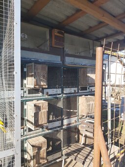 Predám klietky boxy - 4