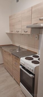 Jednoizbový byt - 4