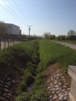 Rizikovy vyrub stromov,cistenie pozemkov - 4