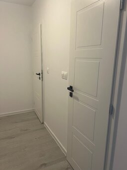 Novo zrekonštr. 2 izb. byt s loggiou, P.Horova - 4