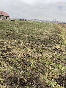 Predaj pozemku na výstavbu vinohradníckeho domu v Skalici - 4