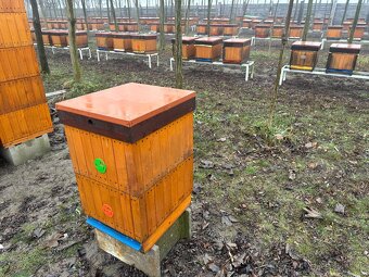 VČELIE ÚLE B10 - VČELY - VČELÍ MED - 4