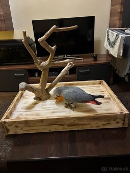 Strom pre papagáje ,ihrisko pre papagáje - 4