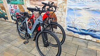 NOVÝ ELEKTROBICYKEL 790 - 4