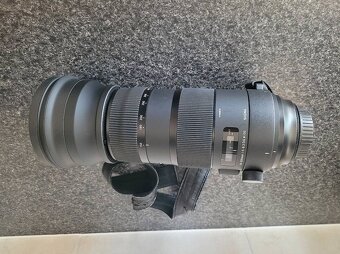 Sigma 150-600 mm Sport plu Canon EOS 7 D MakII - 4
