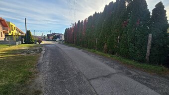 🌿 Stavebný pozemok s výhľadom na Baziliku – Šaštín-Stráže - 4