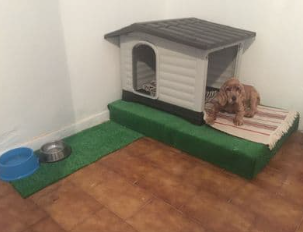 Málo využívaná ako nová - 4