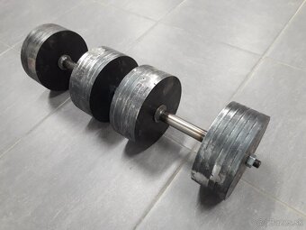 Jednorucky cinky 2x30 kg - 4
