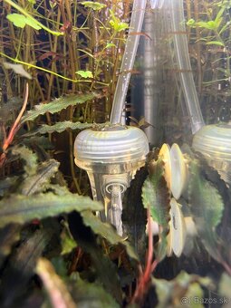 Co2 tropica set+ Druhá fľaša zadarmo Dropchecker a náplň - 4