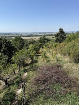 Viničný dom kú Levice - 4
