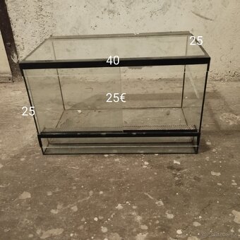 Teraria - 4