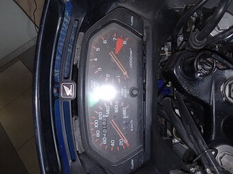 Honda 650 dominator - 4