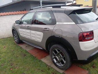 C4 Cactus - 4