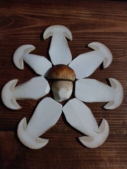 Sušené hríby smrekové, dubáky - 4