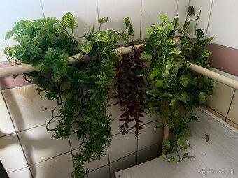 Terárijné doplnky - 4