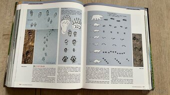 Kniha  Encyklopedia Polovnictva - 4