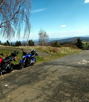 Honda CB 600F Hornet - 4