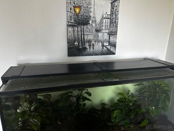 predaj komplet akvarium - 4