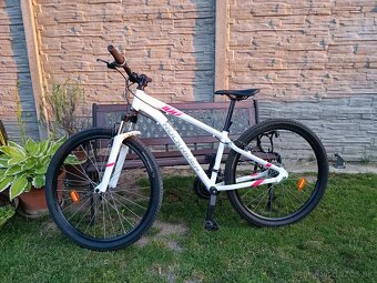 Horský bicykel ROCKRIDER 100 - 4
