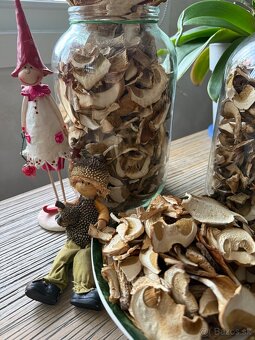 Sušené dubáky - 4