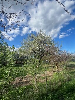 Predaj stavebný pozemok a Dom 1.950 m2 Levice H Vrbica - 4