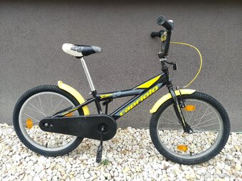 Bicykel do 15 rokov - 20 palcový - 4