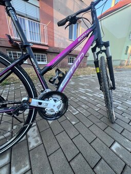 Dámsky bicykel CTM BORA 2.0 - 4