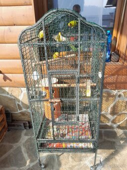 Predám klietky - 4