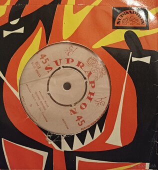 LP malé plátne - 4