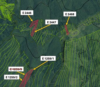 Čadca (Horelica) – 14.700 m2 ORNÁ PÔDA a LES - 4