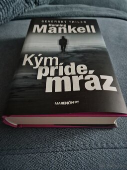 Dan, Mankell, Rosenfeldt, Horst,Nesbo knihy - 4