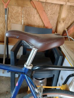 Bicykel Sputter Excelsior mestský - 4