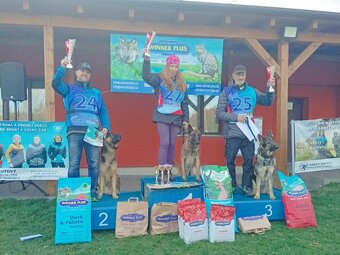 Belgický ovciak malinois - 4