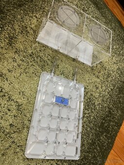 Novy formikarium Duonest pre mravcov.Camponotus,Messor - 4