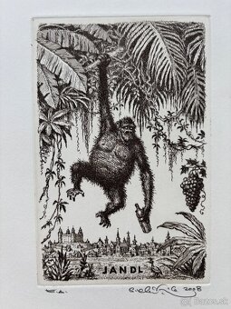 Peter Klucik - mensie grafiky - 4