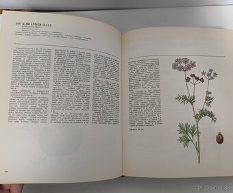 Atlas liecivych rastlin a lesnych plodov - 4