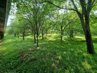 CHALÚPKA a POZEMOK 2000 m2 KRAJNÉ KOPANICE MYJAVA - 4