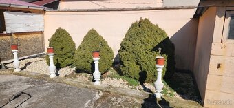 Starši rodinny dom - 4